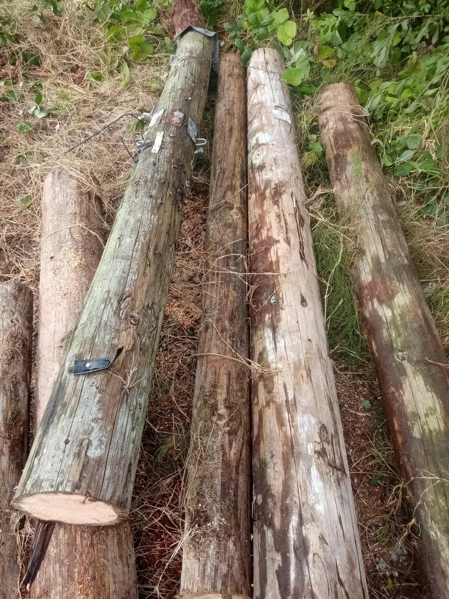 Poles - Image 3