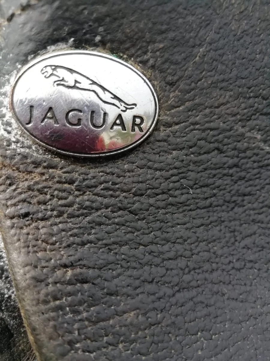 17 inch jaguar saddle - Image 2