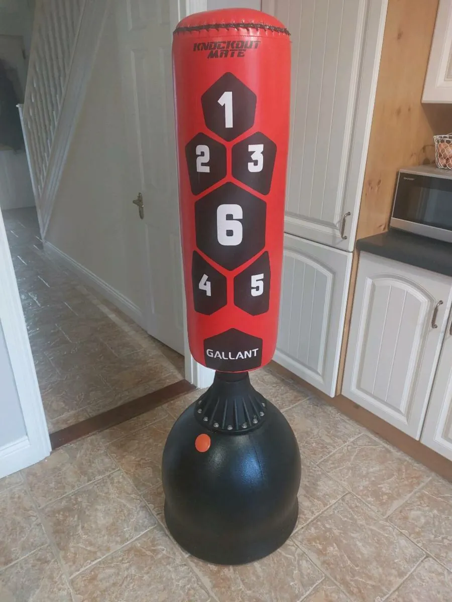 Self Standing Punching Bag