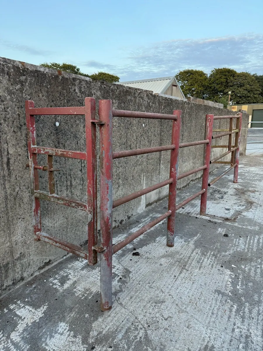 Crush - Image 1