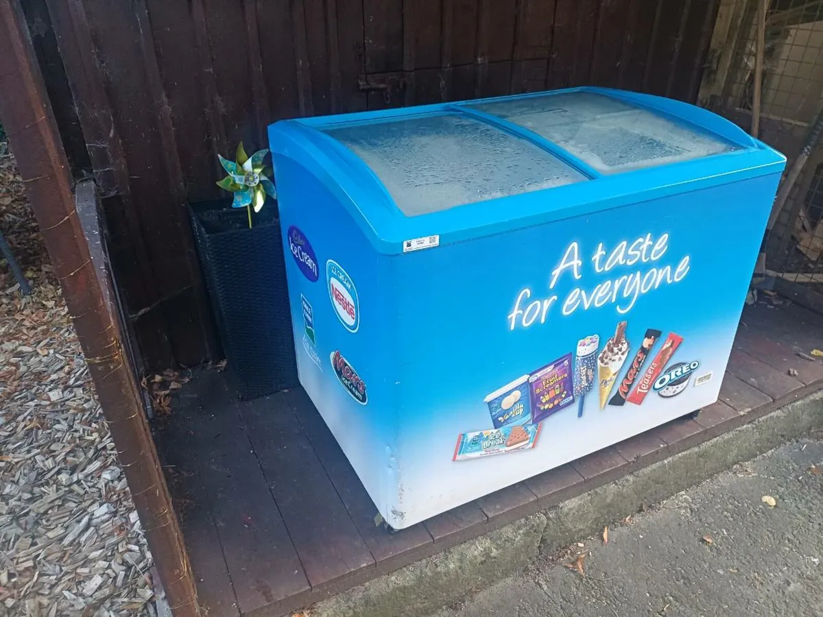 Chest freezer - Image 1