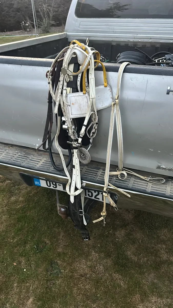 Set of quick hitch harness - Image 1