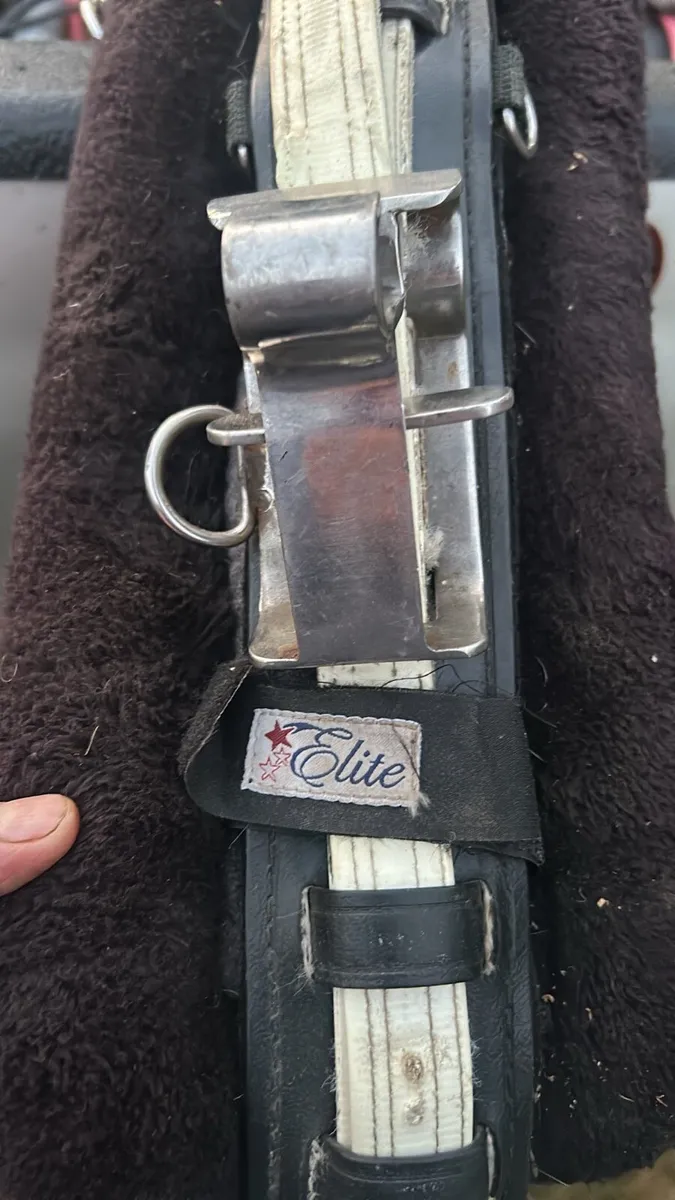Set of quick hitch harness - Image 4