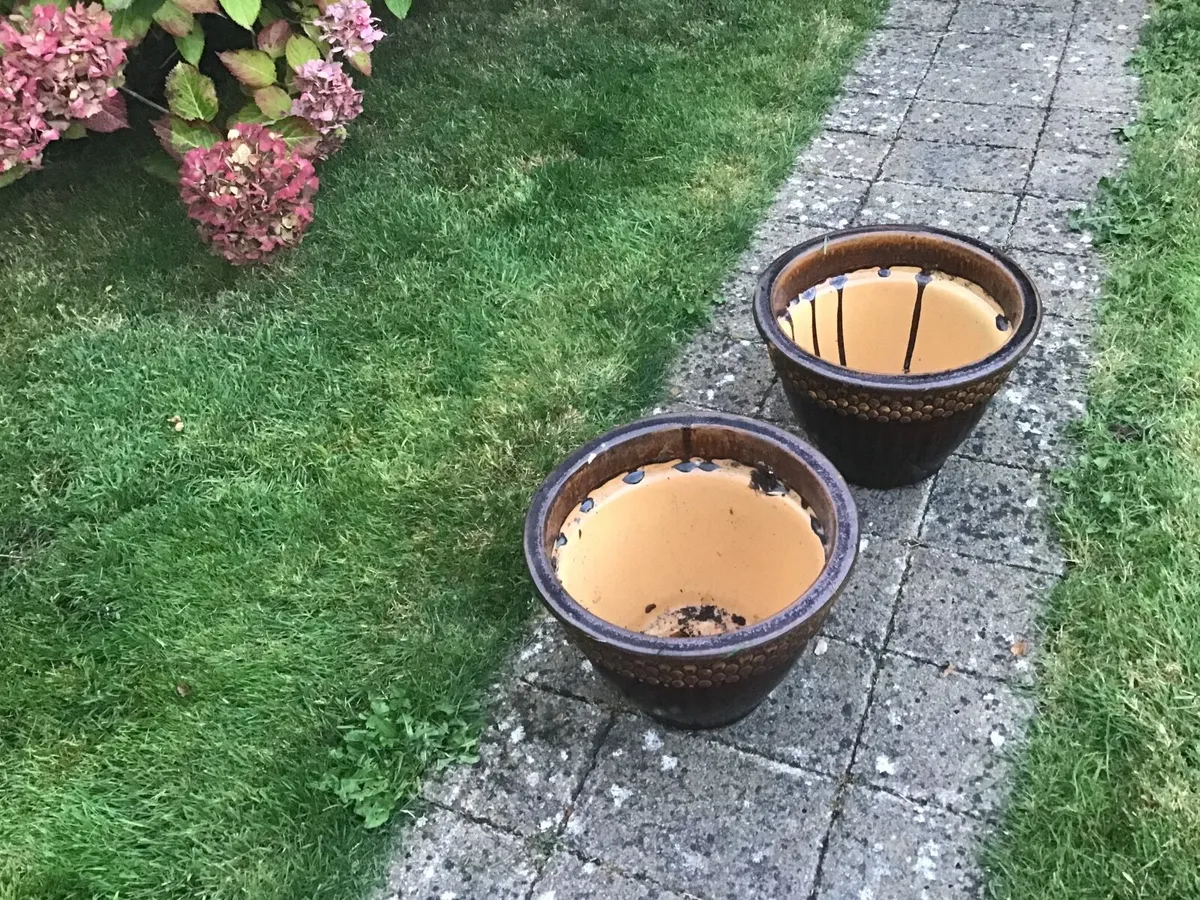 Two Ceramic flower pots - Image 2