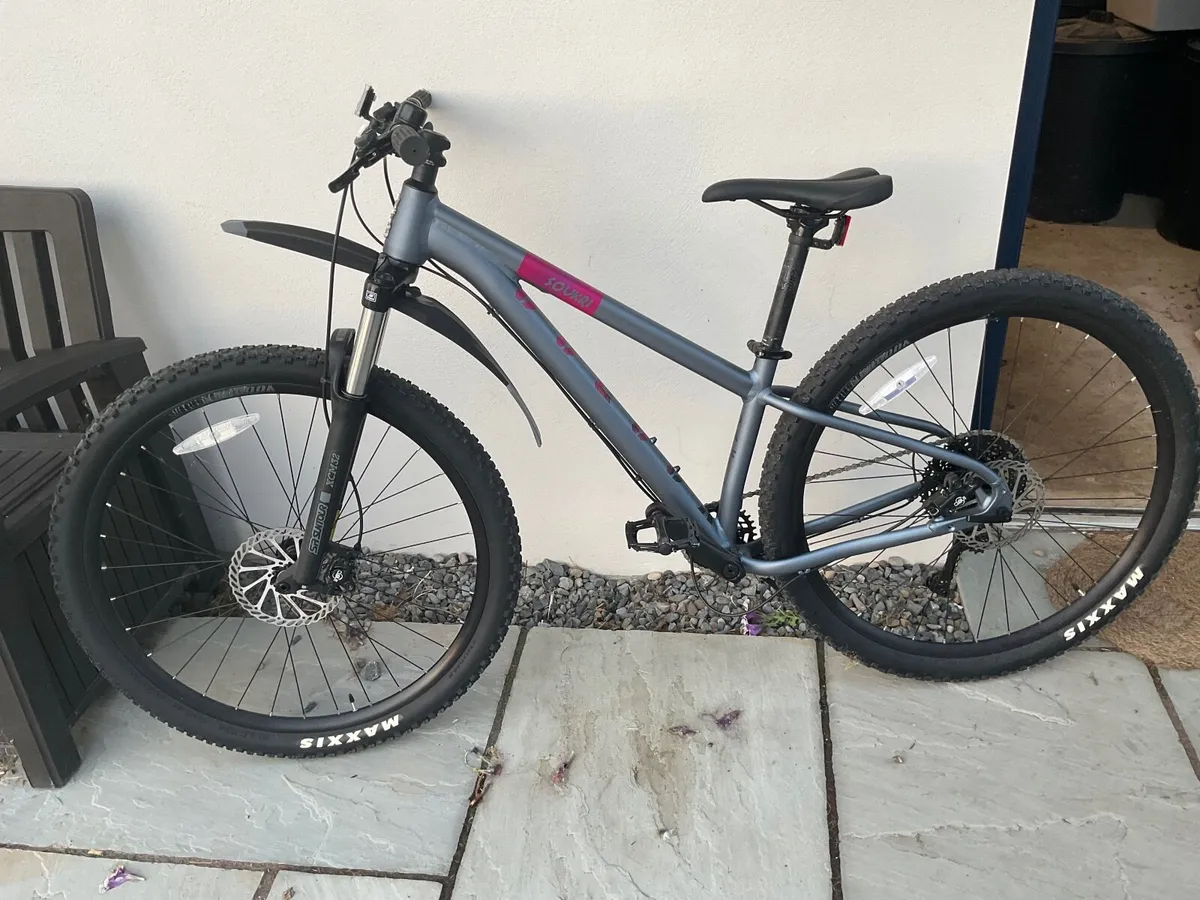 Bike - Image 1