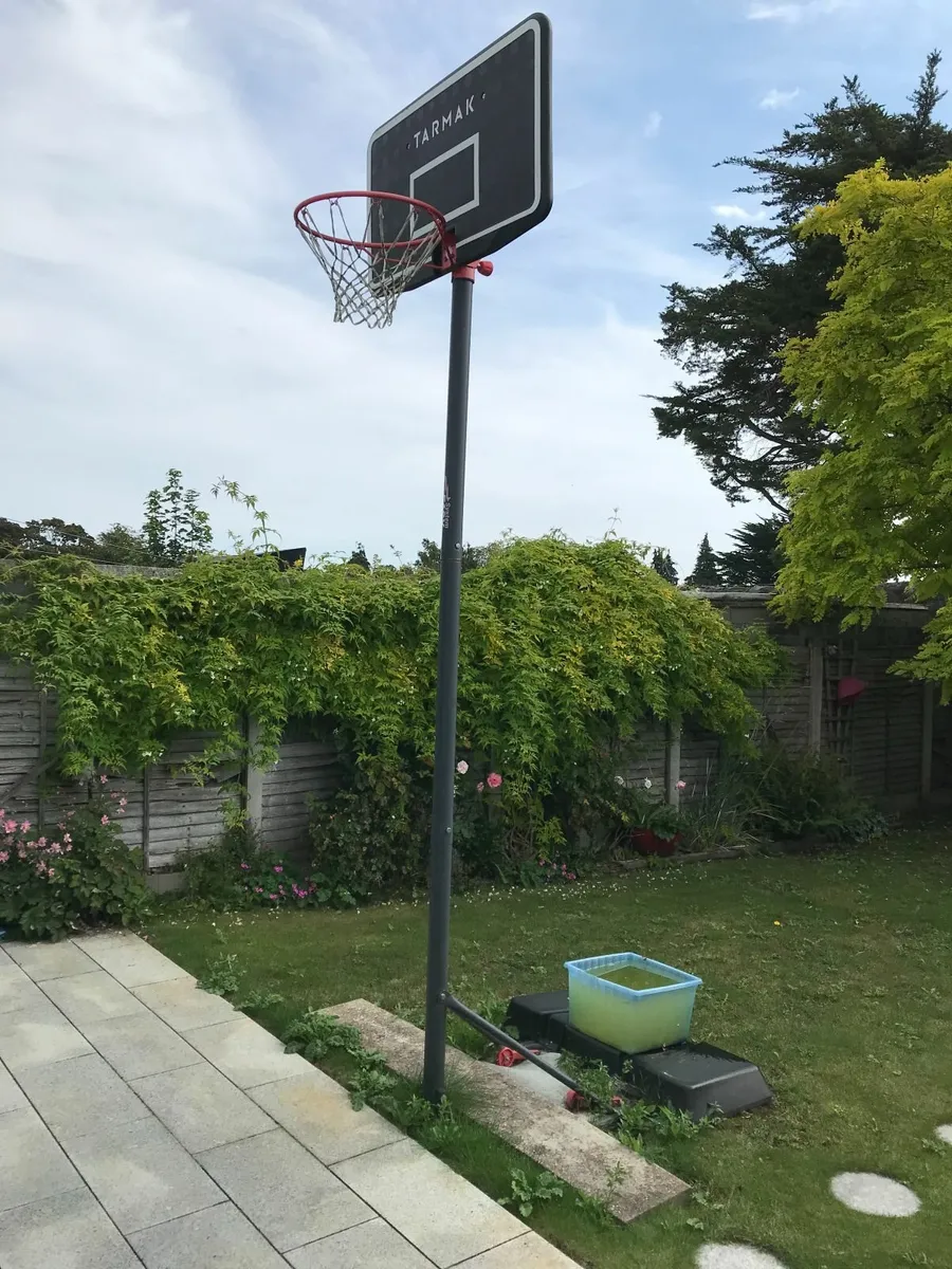 Basketball Hoop - Image 2