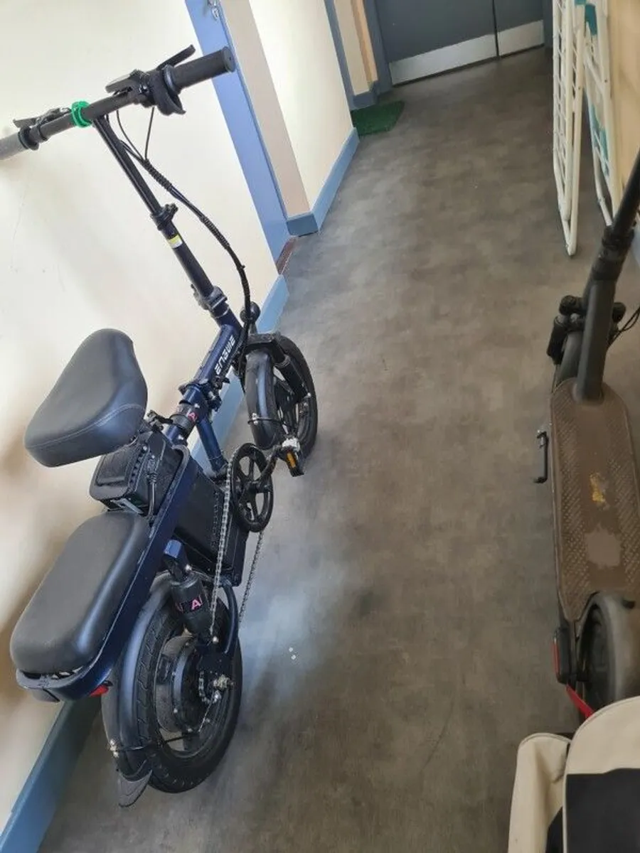 ebike - Image 2