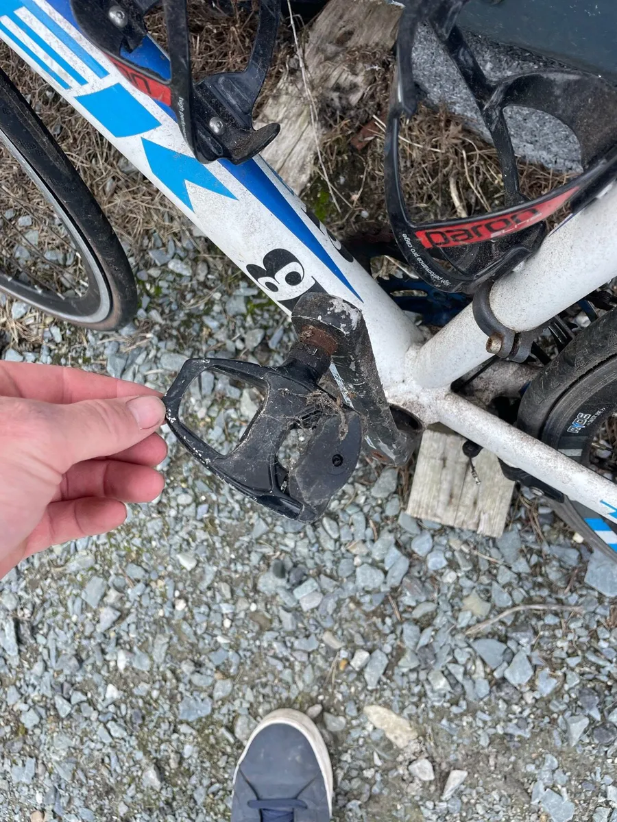 Racer bike - Image 2