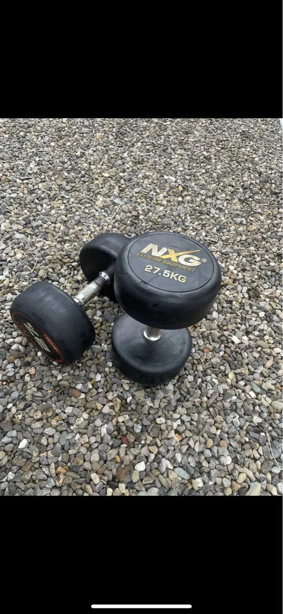 27.5kg Dumbbells