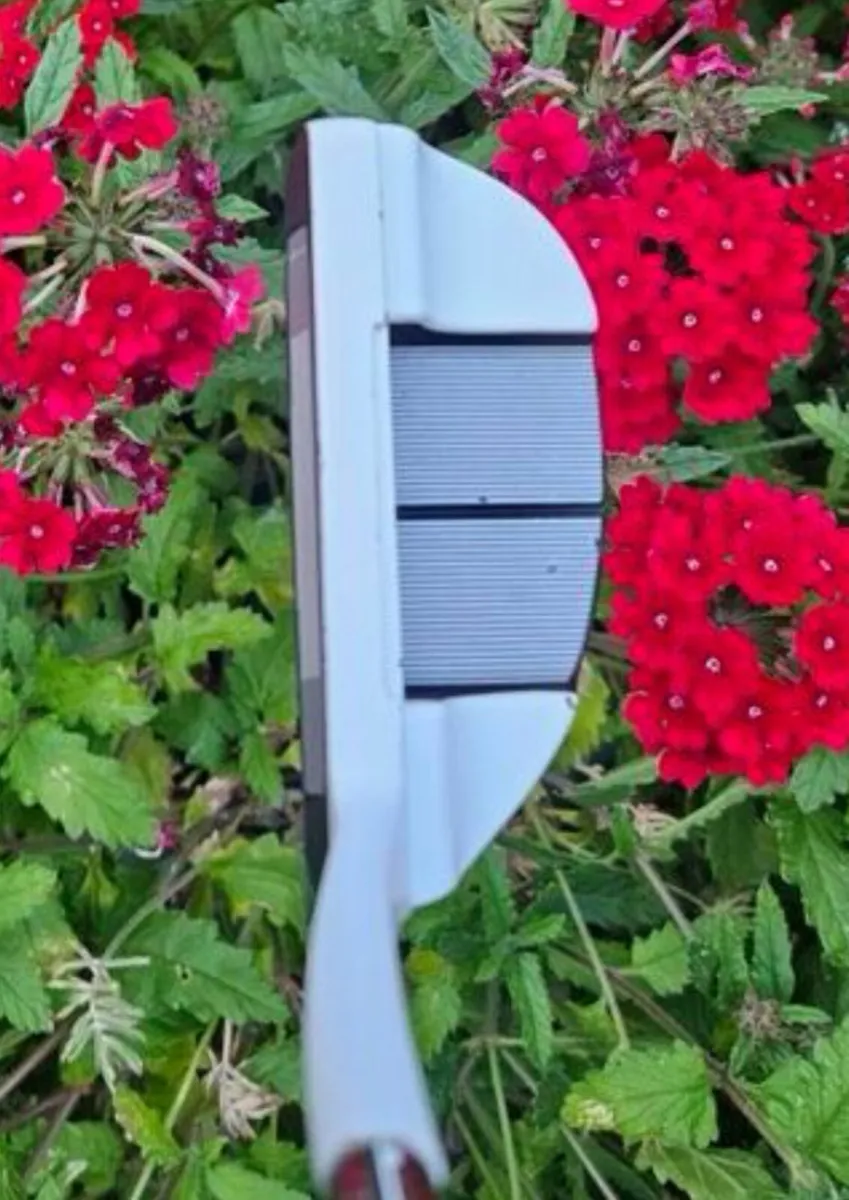 Taylormade Ghost putter 34inch quite rare. - Image 1