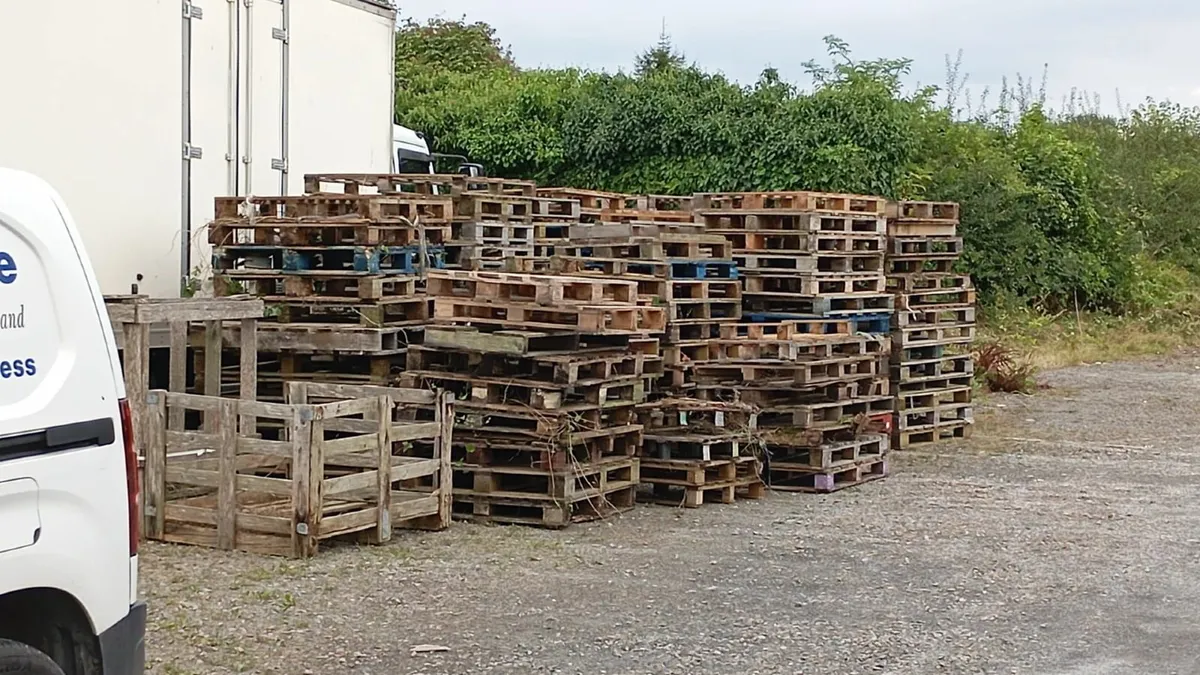 Pallets Free to good home