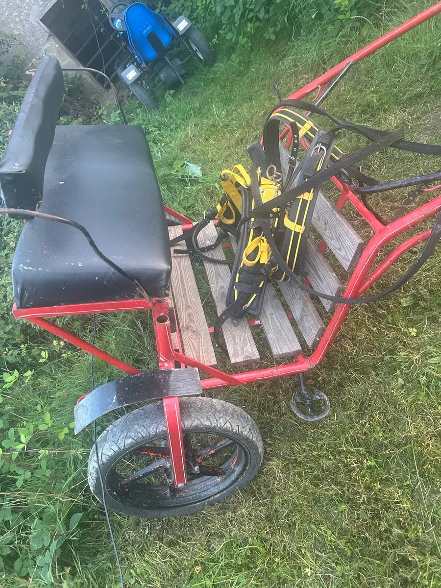 Duhig road cart - Image 1