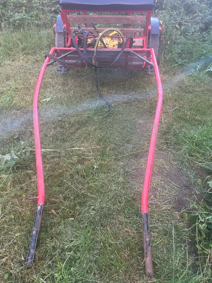 Duhig road cart - Image 2