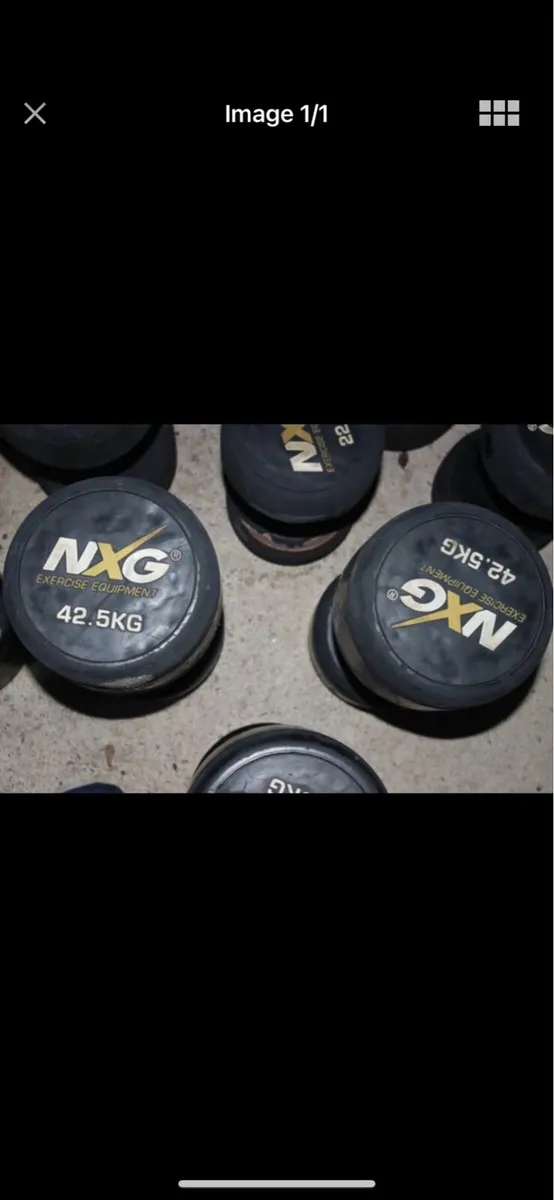 42.5kg Dumbbells