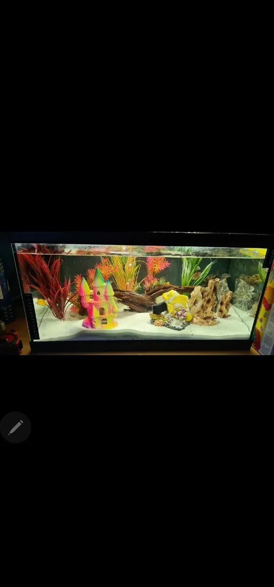 Full fishtank set up. No Fish - Image 1