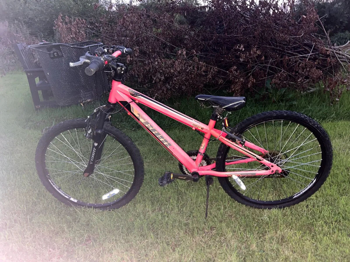 pink team bike - Image 1