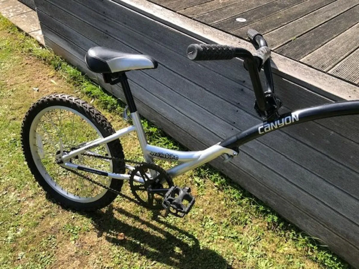 Trail a Bike / Kids Tag Along - Image 2