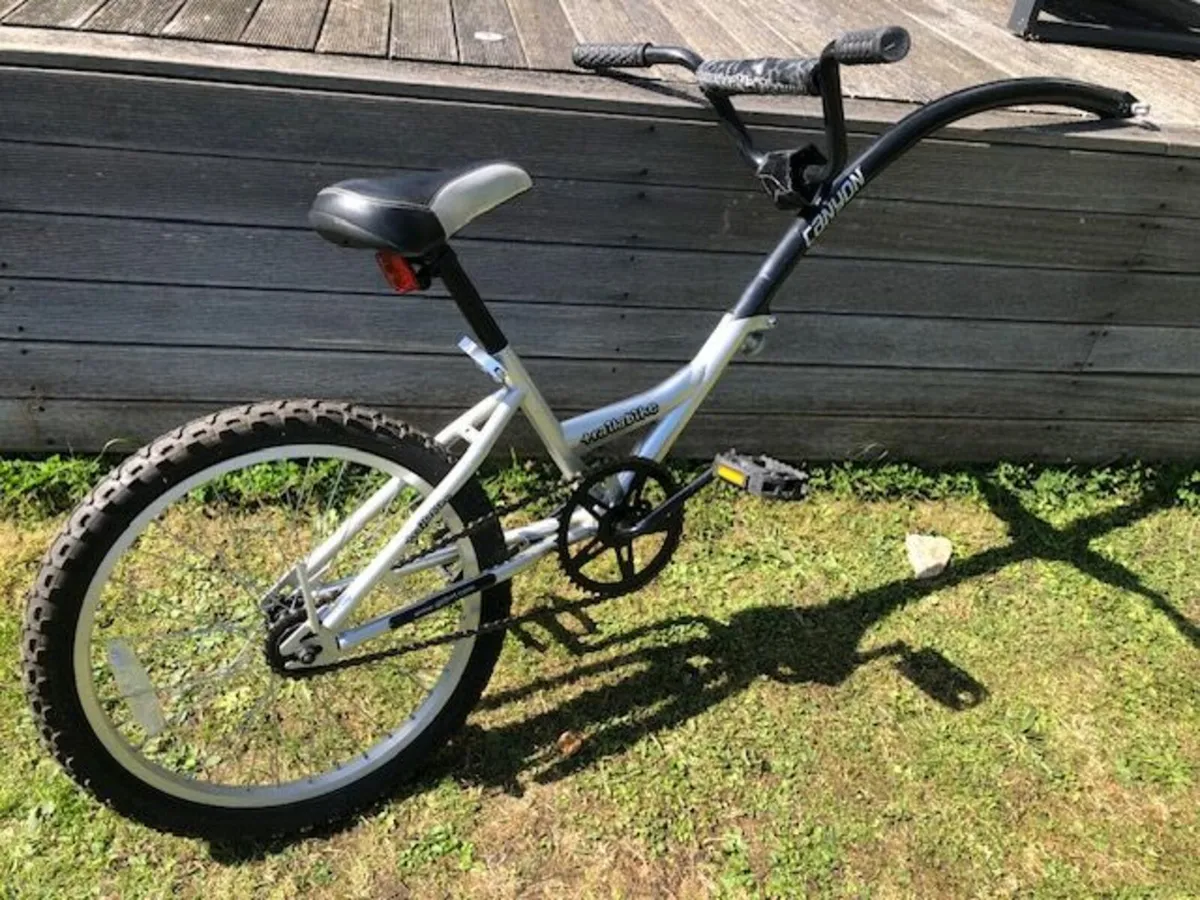 Trail a Bike / Kids Tag Along - Image 1