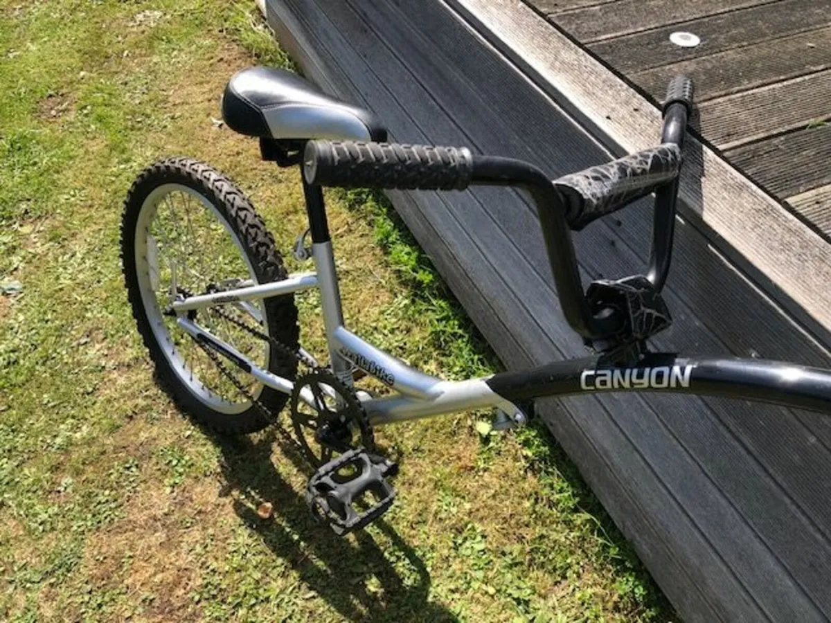 Trail a Bike / Kids Tag Along - Image 3