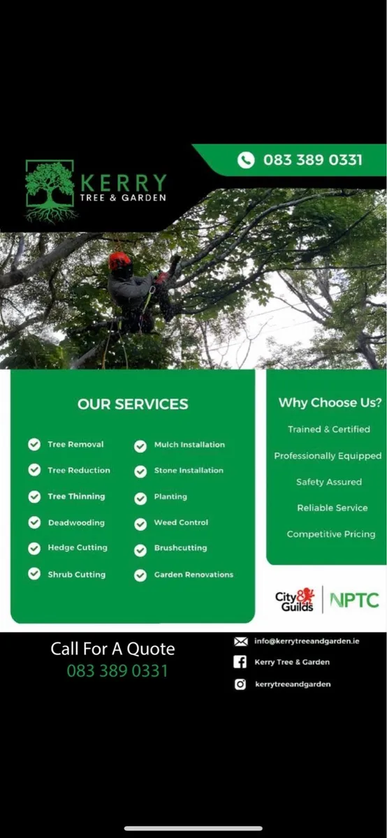 Tree service / Hedge cutting