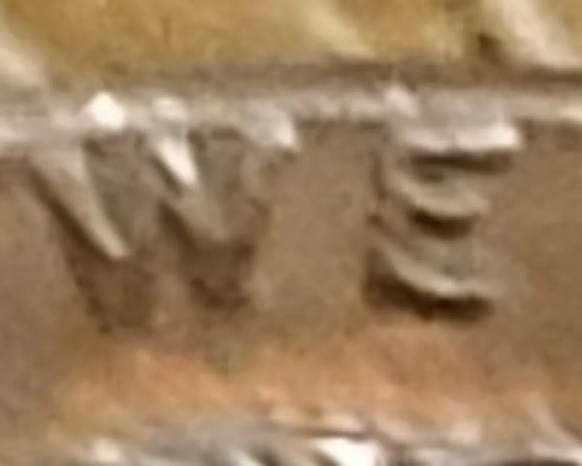 RARE, ERROR 1995D LINCOLN CENT - Image 4