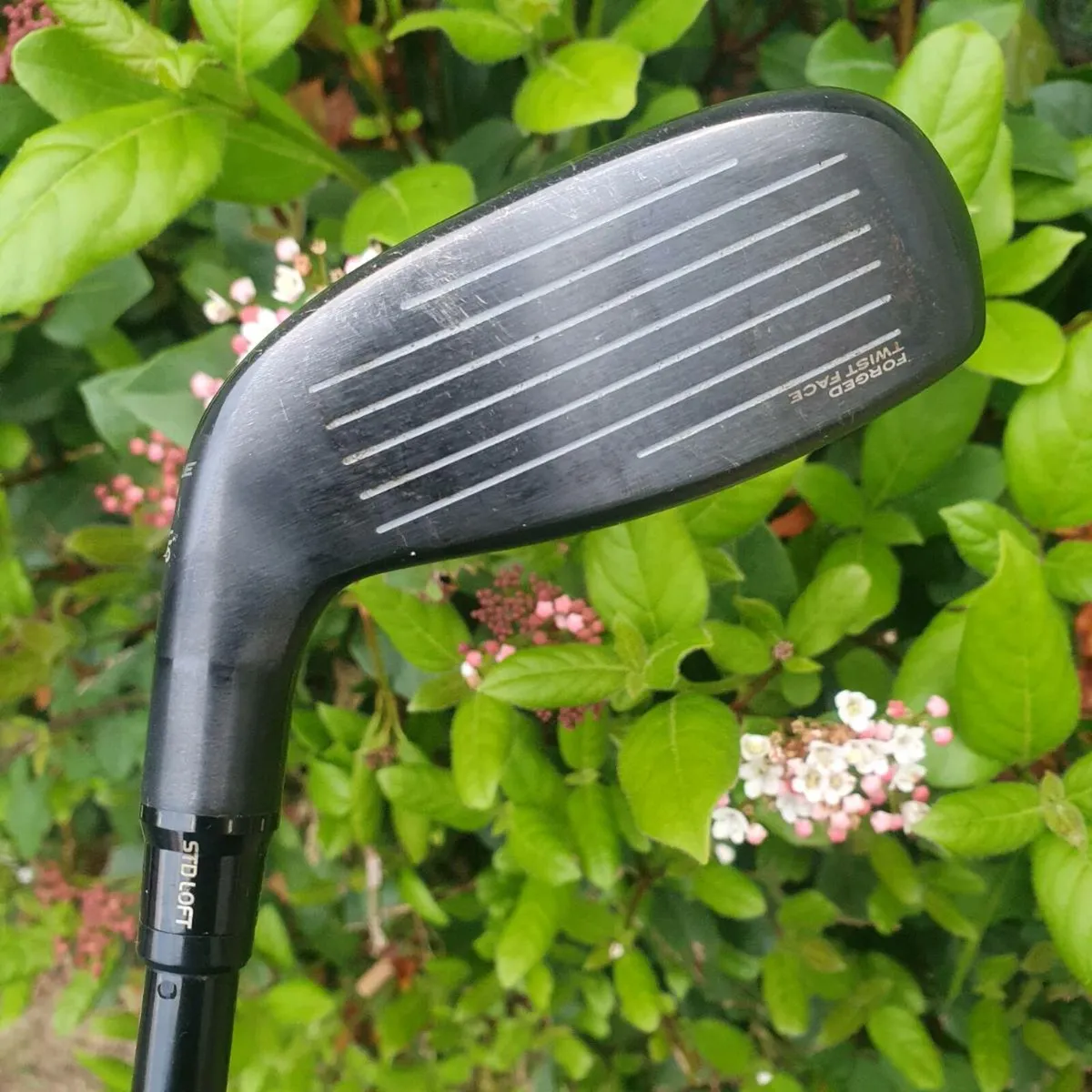 Spotless taylormade stealt 2 rescue - Image 3