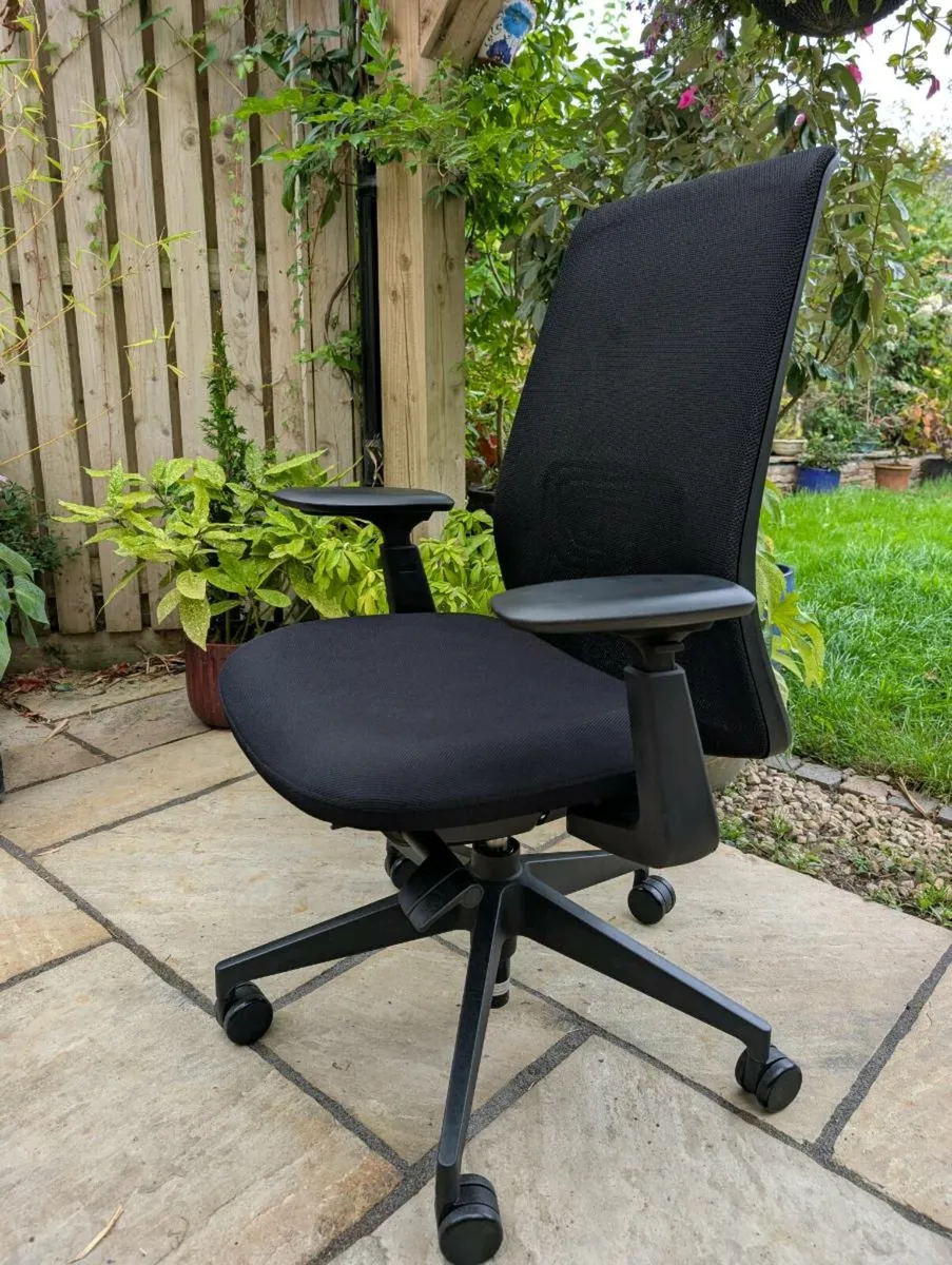 Ergonomic office chair - Image 1