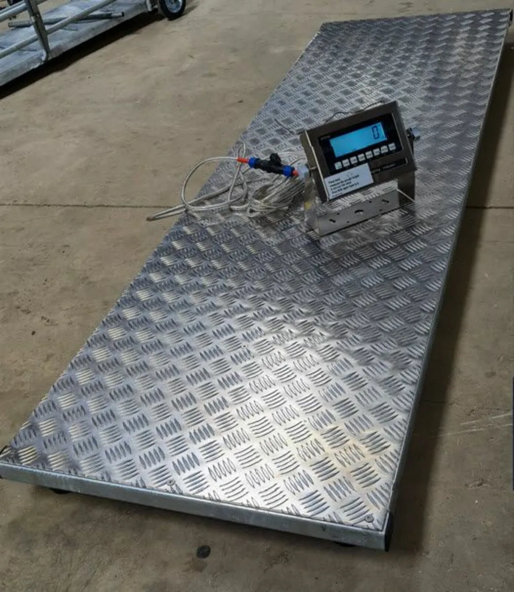 Weighing box, cattle scale - Image 3