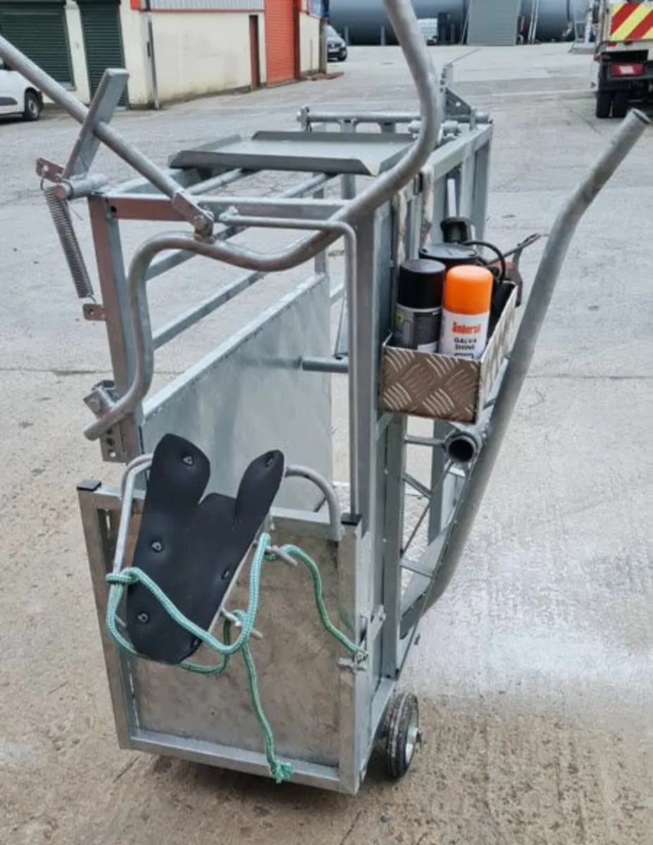 Weighing box, cattle scale - Image 4