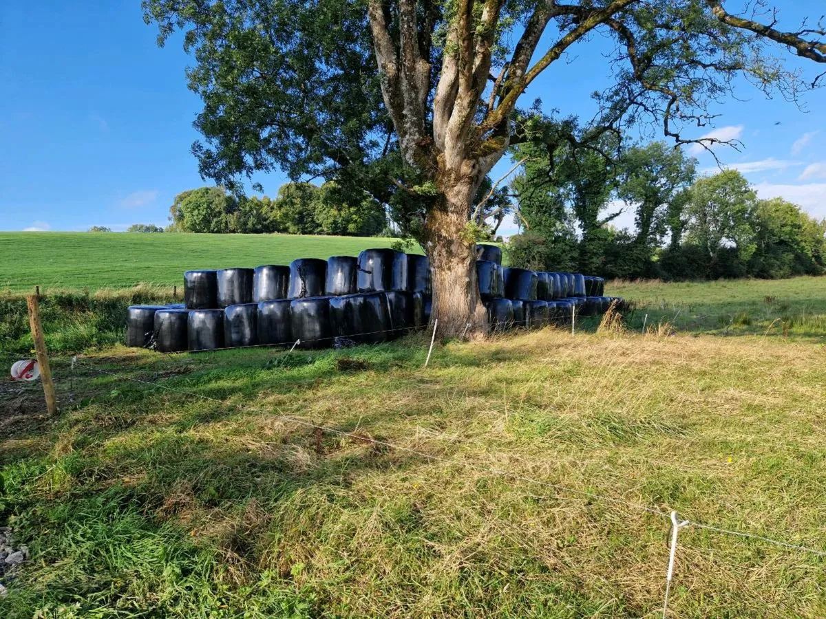 Silage