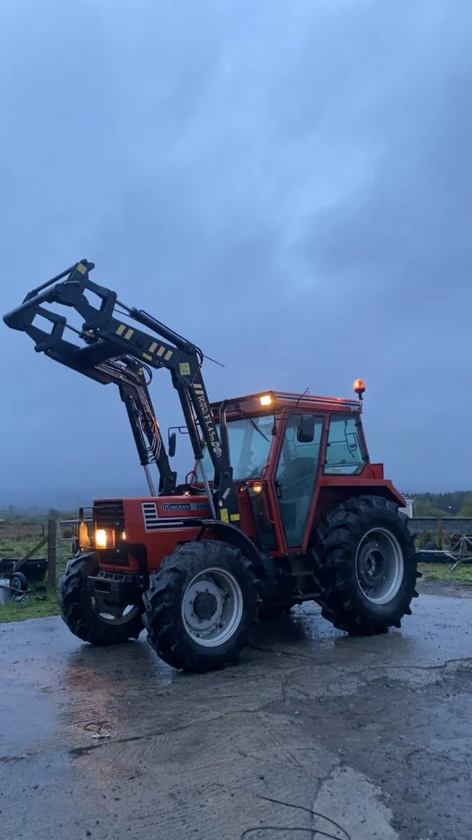 2019 Tumosan 8095 - Image 1