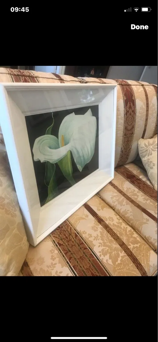 Arum Lily- Nicola Lynch Morrin Original - Image 1