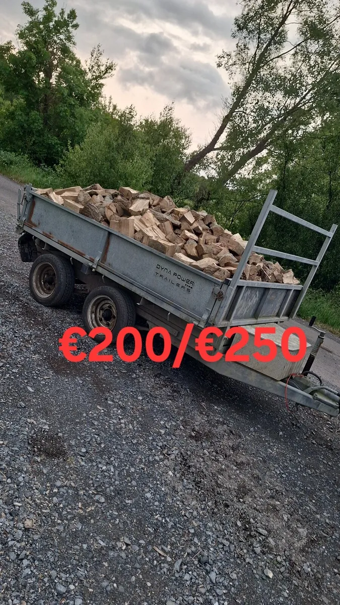 Hardwood firewood - Image 2