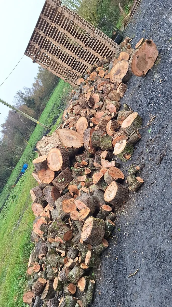 Hardwood firewood - Image 1