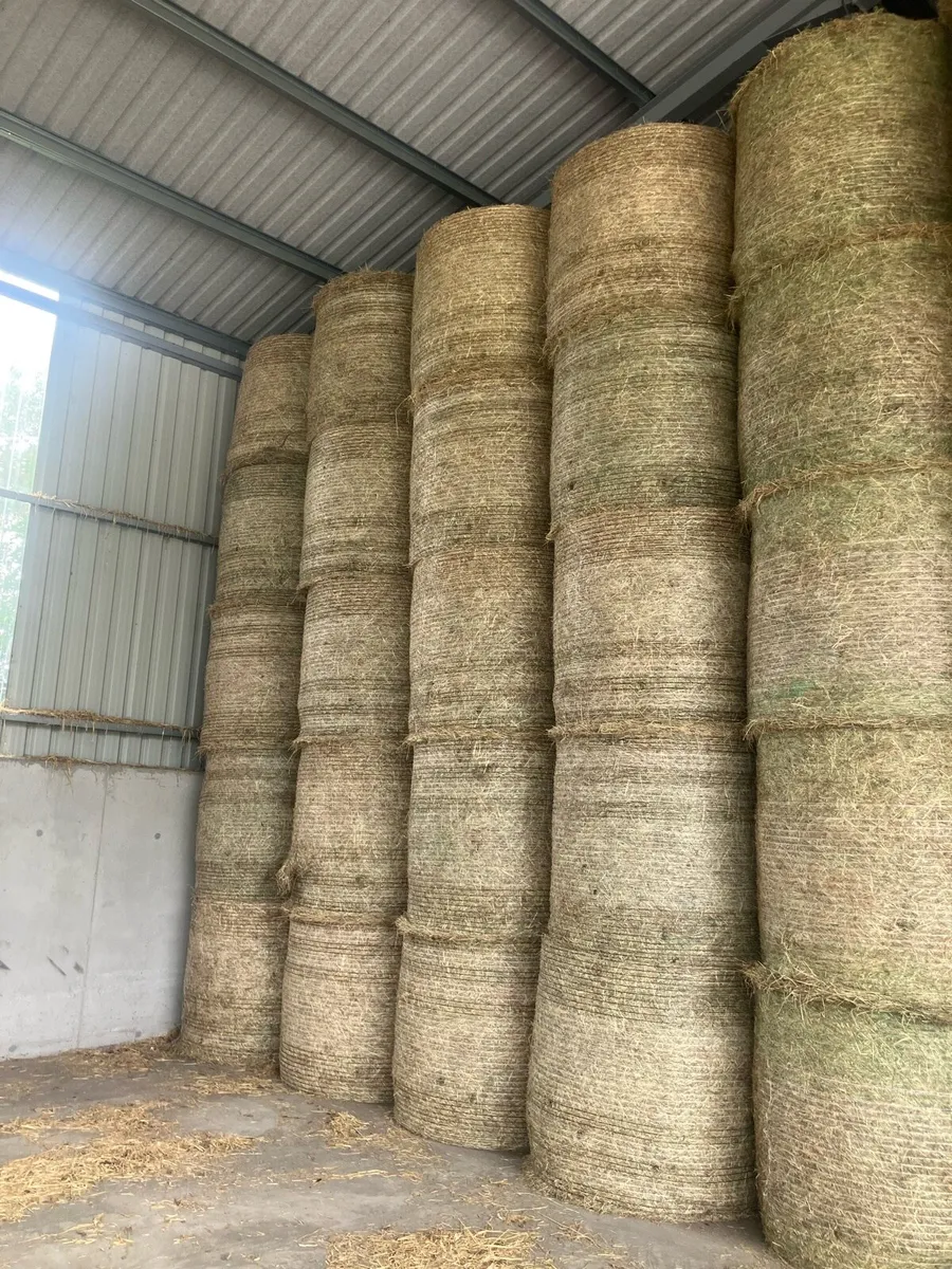 Wheaten Straw/Hay - Image 1
