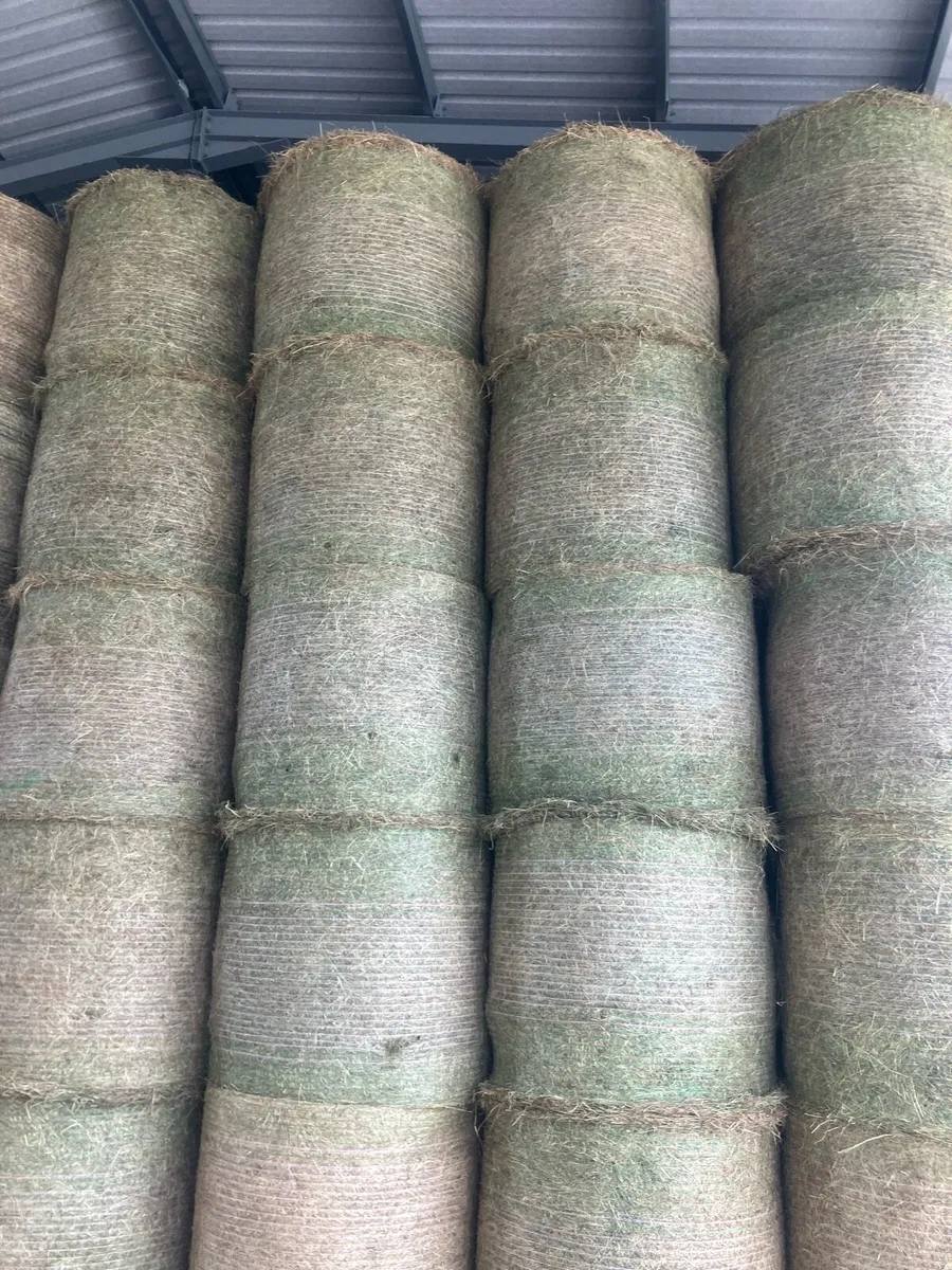 Wheaten Straw/Hay - Image 2