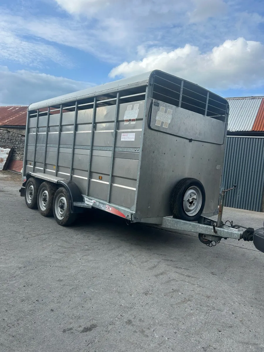 14ft hudson livestock trailer (No Vat) - Image 1