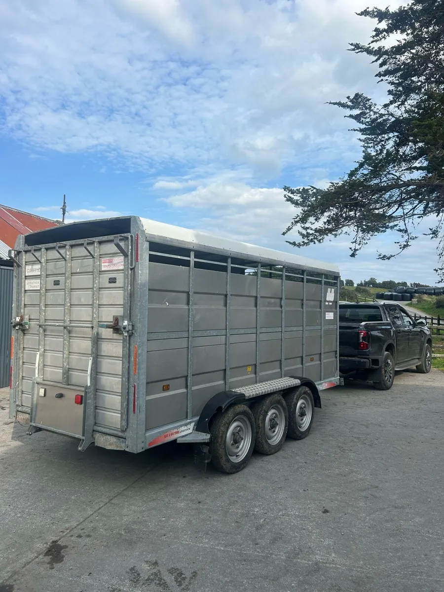 14ft hudson livestock trailer (No Vat) - Image 2