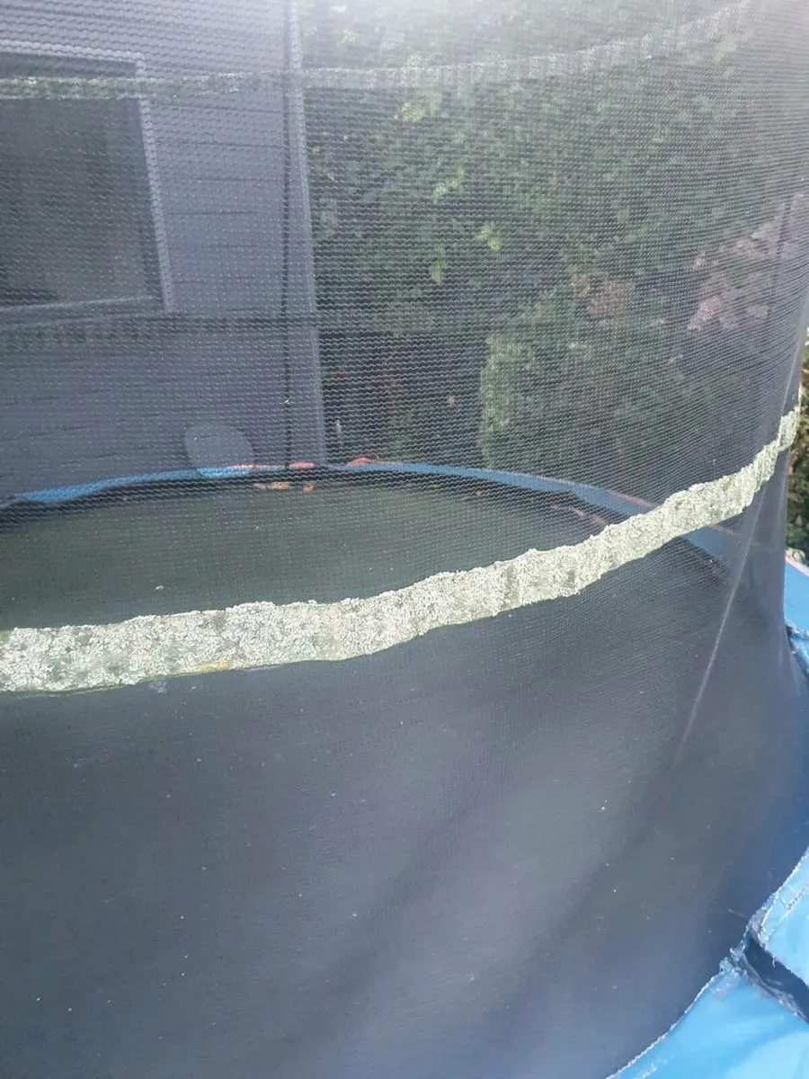 Trampoline free - Image 2