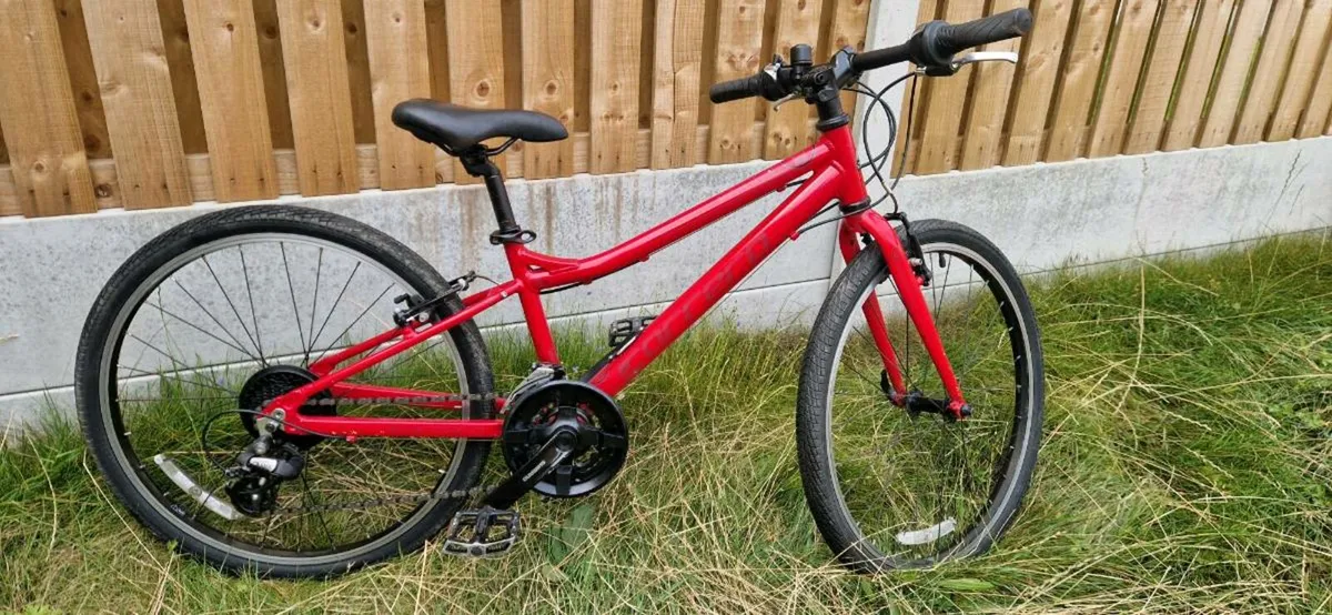 Carrera kids bike 24 inch ( serviced )( delivery ) - Image 1