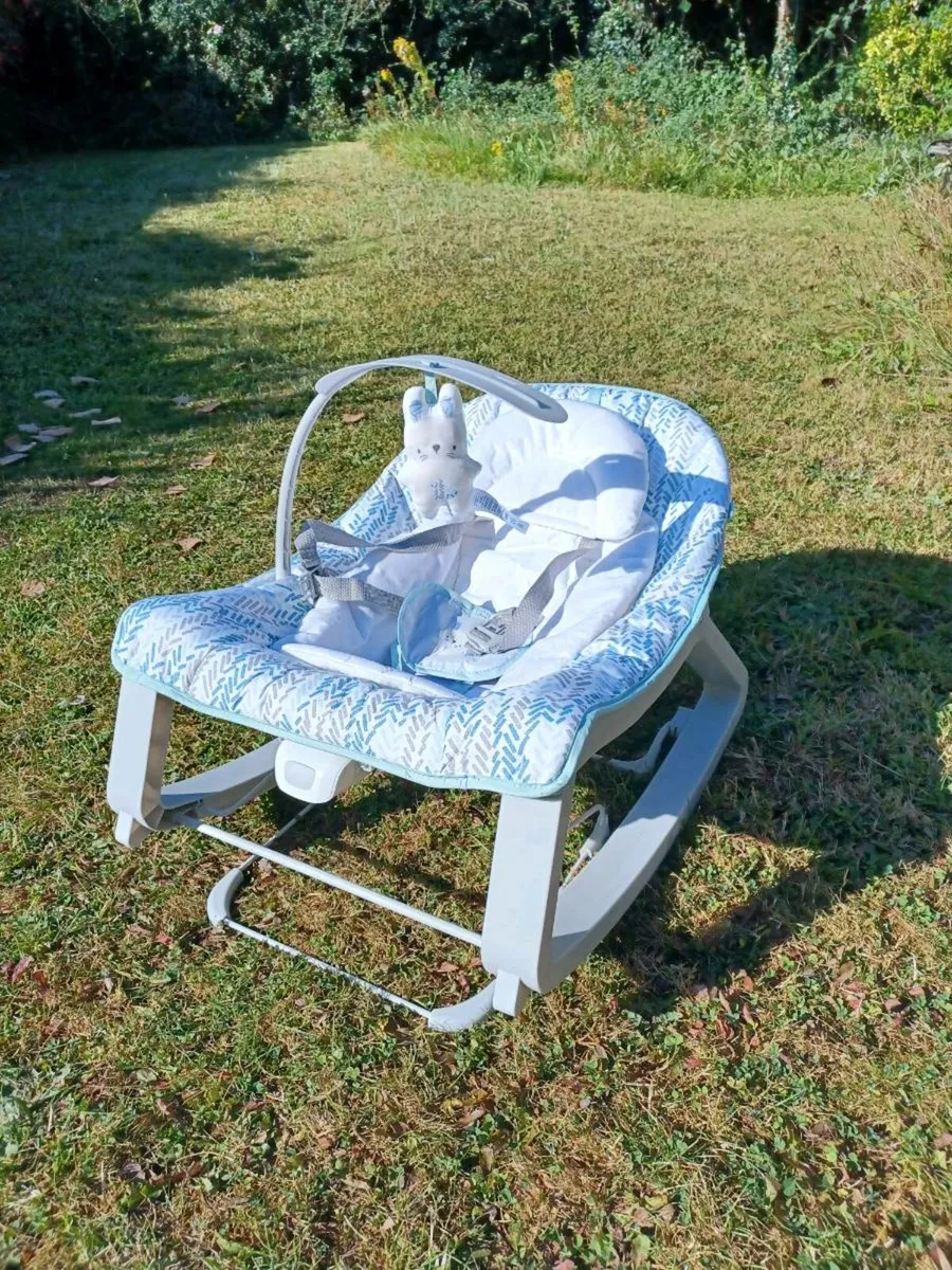 Baby Bouncer - Image 1