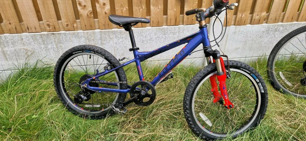 Kids carrera 20 inch bike ( serviced )( delivery ) - Image 1