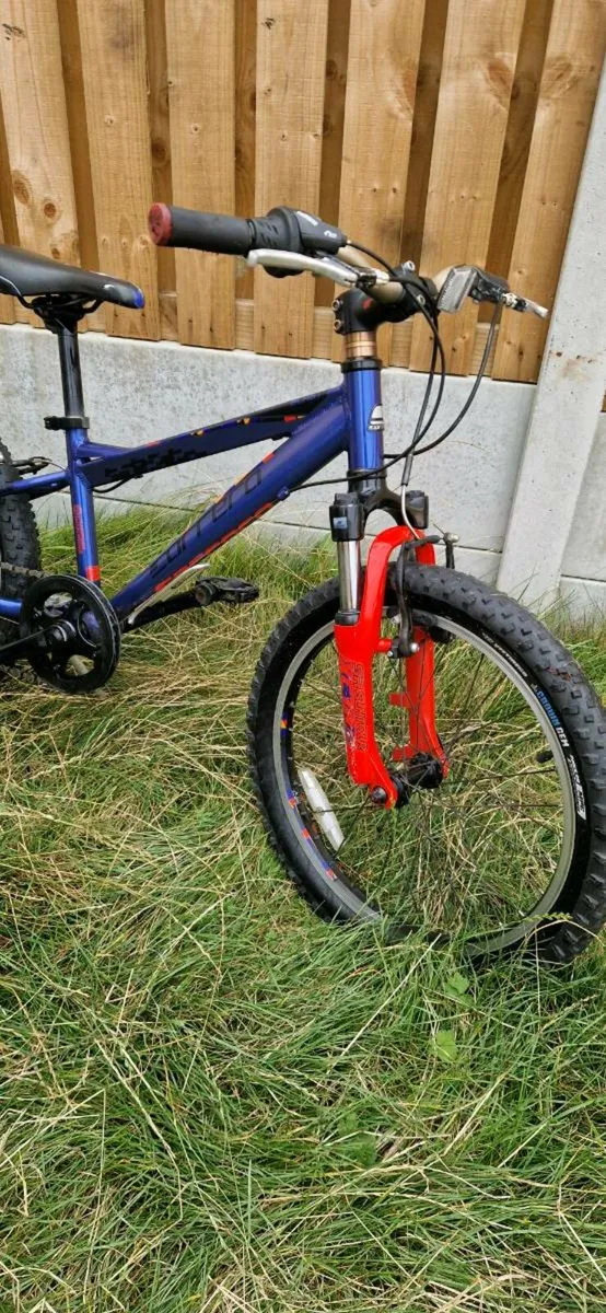 Kids carrera 20 inch bike ( serviced )( delivery ) - Image 2