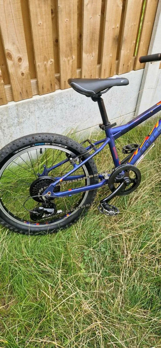 Kids carrera 20 inch bike ( serviced )( delivery ) - Image 4