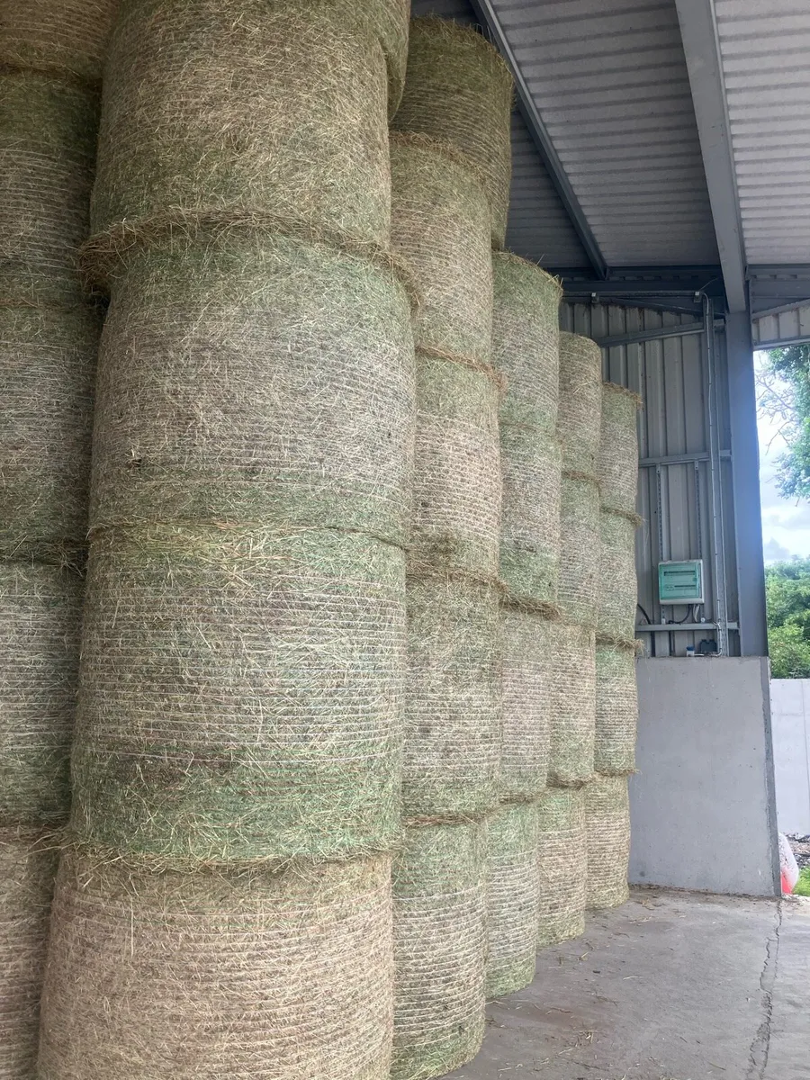 Wheaten Straw/Hay - Image 3
