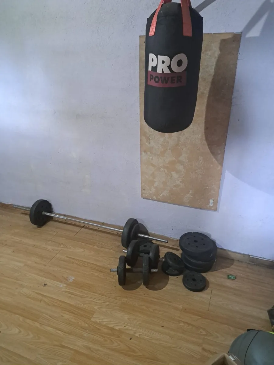 Weights and punch bag - Image 1