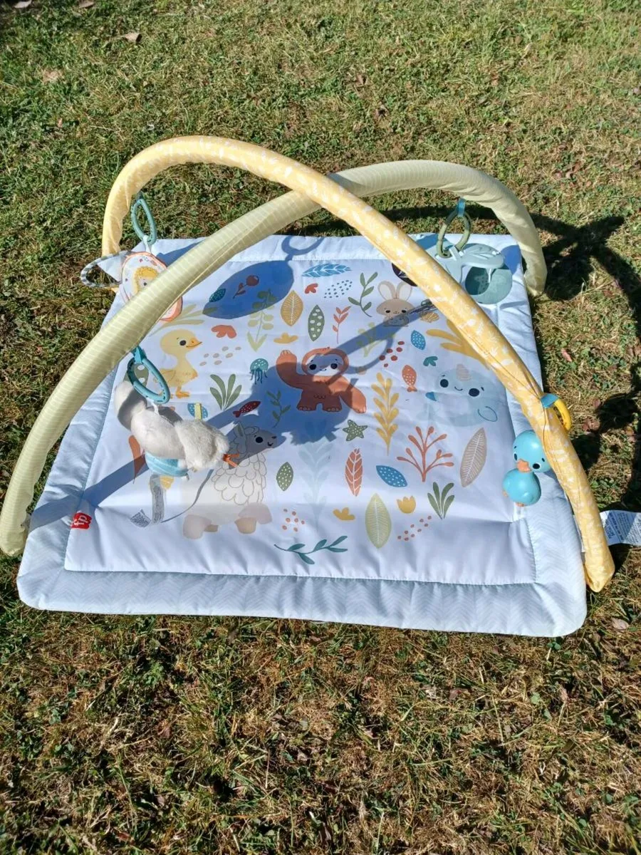 Play Mat - Image 1