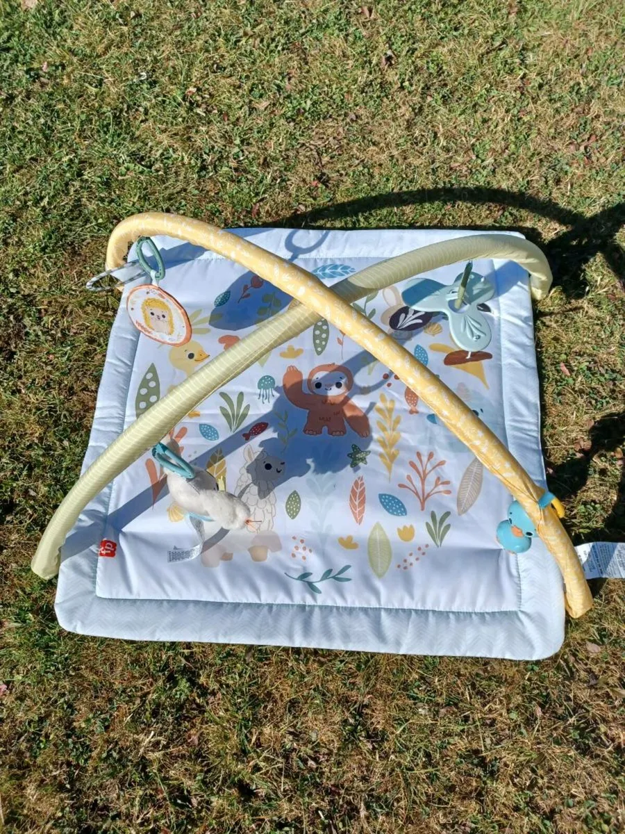 Play Mat - Image 2