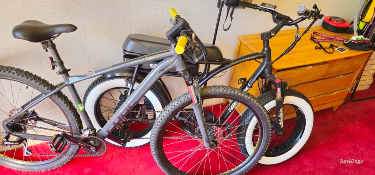 Electric bike - Image 1