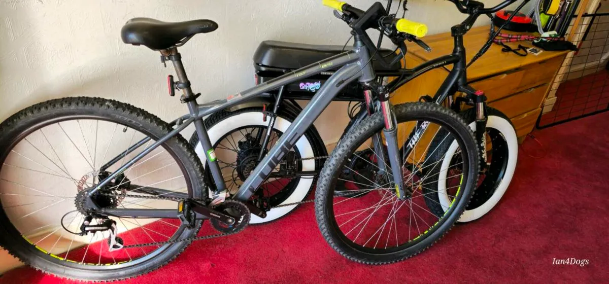 Electric bike - Image 2